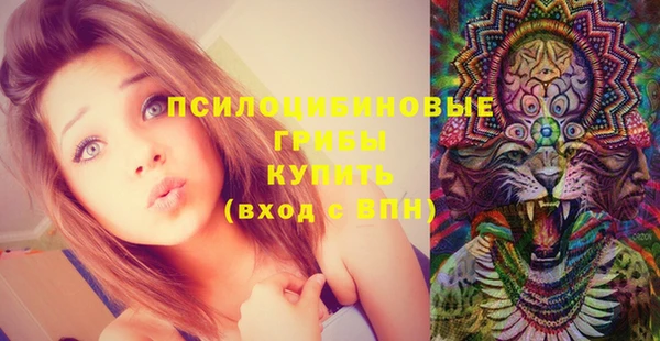 прущие крисы Карпинск