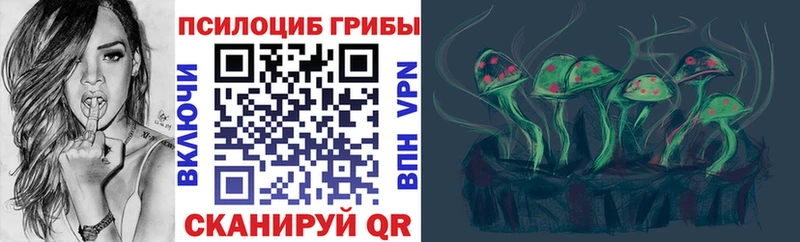 Галлюциногенные грибы Psilocybe Кизляр