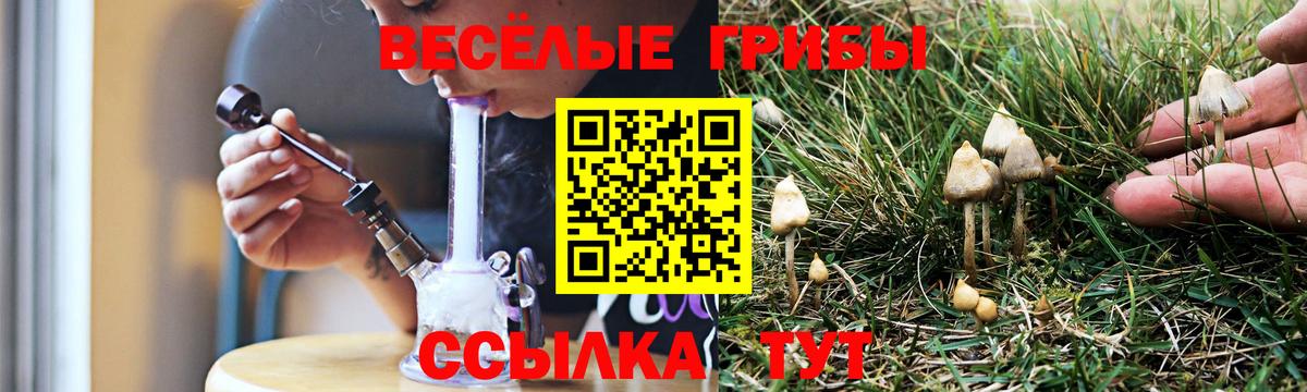 Псилоцибиновые грибы MAGIC MUSHROOMS  Вход с VPN  Кизляр 