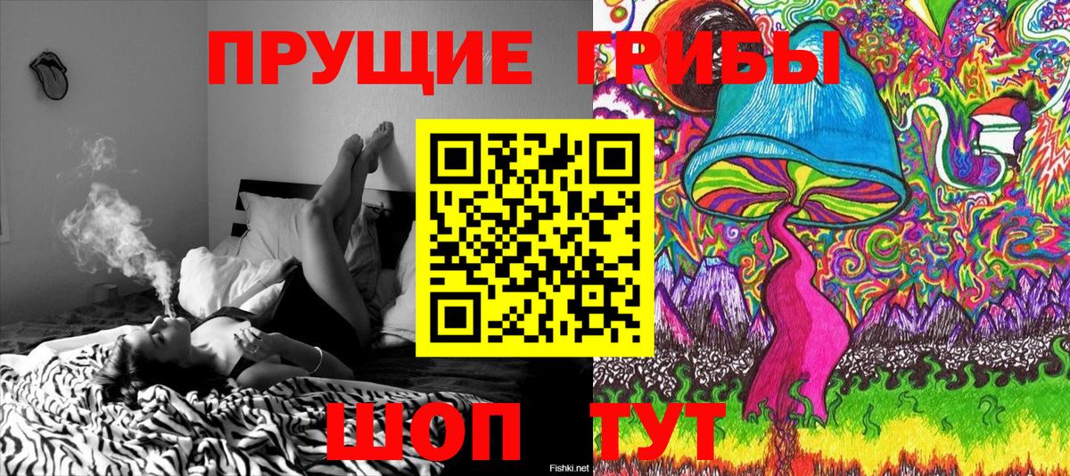 Псилоцибиновые грибы прущие грибы Кизляр